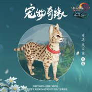 《劍網(wǎng)3》公開(kāi)新賽季新增寵物奇遇